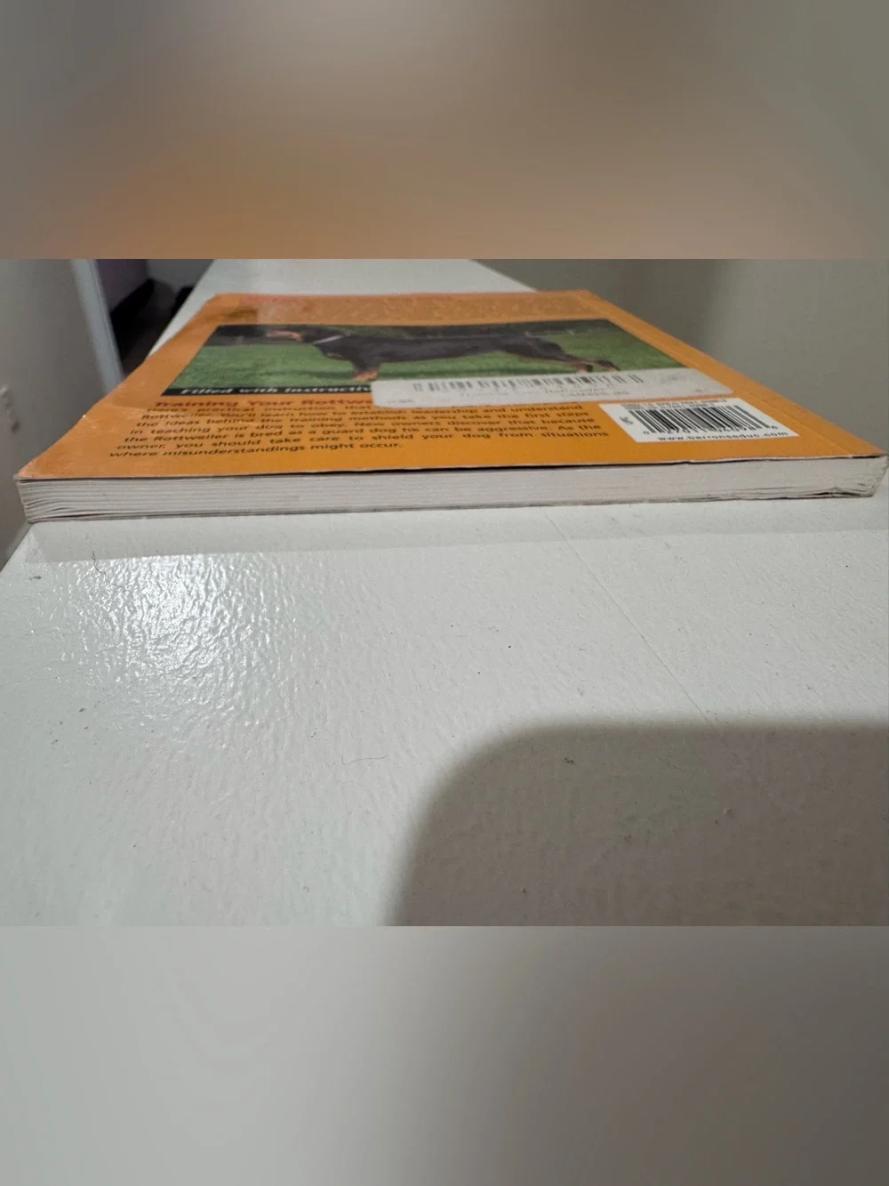 Training Your Rottweiler